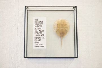 Wisefish Poké 10 Hawaiian Seafood Chelsea