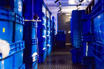 Burger and Lobster 15 Burgers American Seafood Flatiron