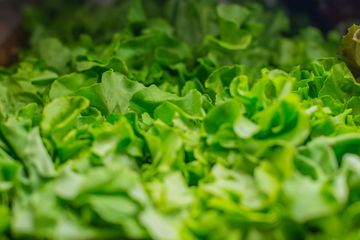 Eataly 43 Italian Bars Grocery Stores Rooftop Bars Wine Shops Flatiron Madison Square Tenderloin