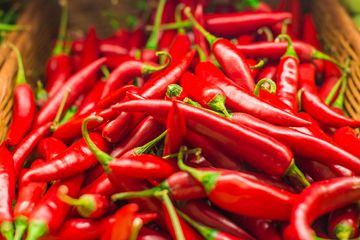 Eataly 45 Italian Bars Grocery Stores Rooftop Bars Wine Shops Flatiron Madison Square Tenderloin