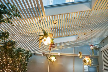 Shay & Ivy 9 American Flatiron Tenderloin