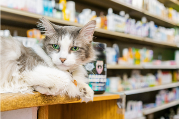 Health Food & Vitamin City 3 Health Food Vitamins Chelsea