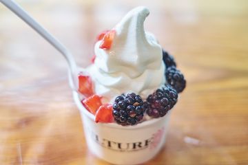 Culture 8 Frozen Yogurt Greenwich Village