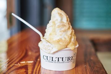 Culture 10 Frozen Yogurt Greenwich Village