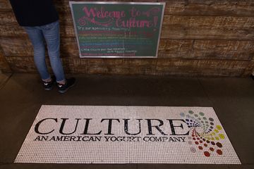 Culture 13 Frozen Yogurt Greenwich Village