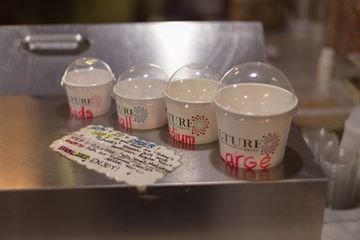 Culture 15 Frozen Yogurt Greenwich Village