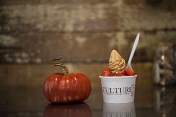 Culture 18 Frozen Yogurt Greenwich Village