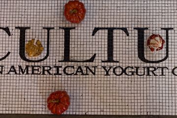 Culture 23 Frozen Yogurt Greenwich Village