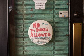 Culture 24 Frozen Yogurt Greenwich Village