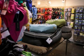 NY Dog Spa and Hotel 1 Pet Groomers Doggy Daycares undefined