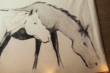 Maysville 5 Bars American Flatiron Tenderloin