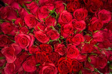 Starbright Floral Design 7 Florists Family Owned Flower District Tenderloin Chelsea