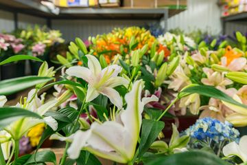 Starbright Floral Design 8 Florists Family Owned Flower District Tenderloin Chelsea