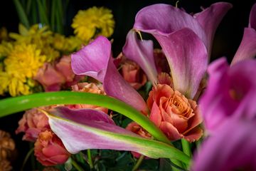 Starbright Floral Design 10 Florists Family Owned Flower District Tenderloin Chelsea