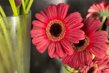 Starbright Floral Design 11 Florists Family Owned Flower District Tenderloin Chelsea