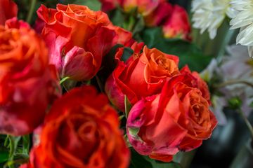 Starbright Floral Design 12 Florists Family Owned Flower District Tenderloin Chelsea