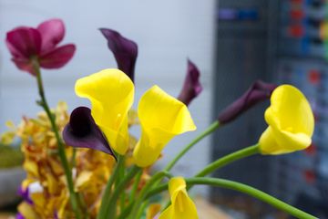 Starbright Floral Design 17 Florists Family Owned Flower District Tenderloin Chelsea