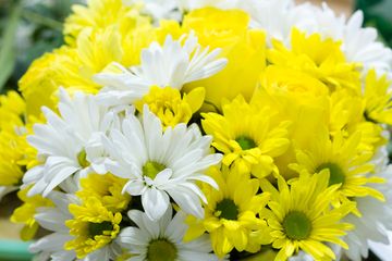 Starbright Floral Design 37 Florists Family Owned Flower District Tenderloin Chelsea