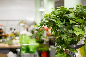 Starbright Floral Design 28 Florists Family Owned Flower District Tenderloin Chelsea