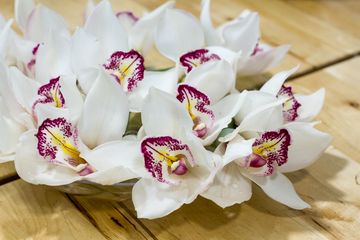 Starbright Floral Design 29 Florists Family Owned Flower District Tenderloin Chelsea