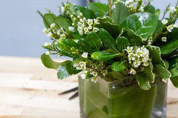 Starbright Floral Design 30 Florists Family Owned Flower District Tenderloin Chelsea