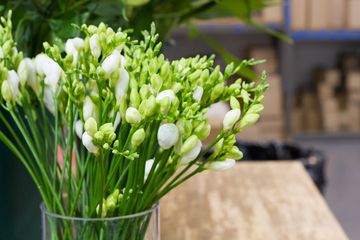 Starbright Floral Design 32 Florists Family Owned Flower District Tenderloin Chelsea