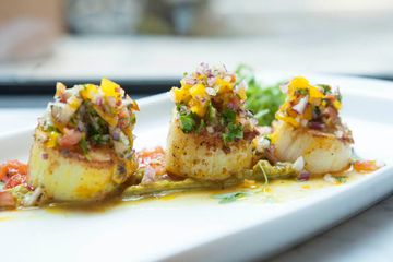 Pippali 1 Indian Kosher undefined