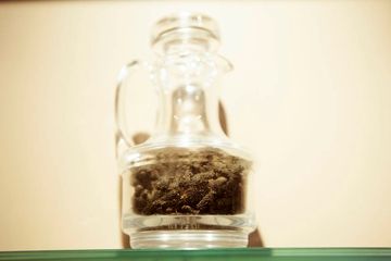 Pippali 8 Indian Kosher Murray Hill Rose Hill Nomad