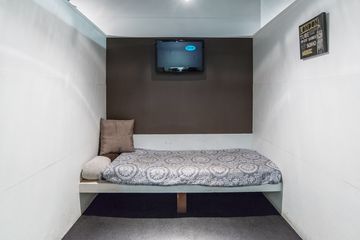 D Pet Hotels 5 Doggy Daycares Flower District Tenderloin Chelsea