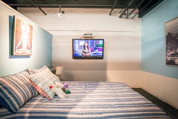 D Pet Hotels 6 Doggy Daycares Flower District Tenderloin Chelsea