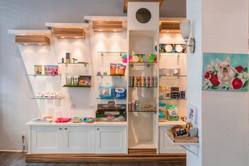 D Pet Hotels 9 Doggy Daycares Flower District Tenderloin Chelsea