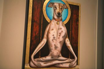 D Pet Hotels 15 Doggy Daycares Flower District Tenderloin Chelsea