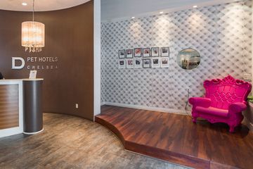 D Pet Hotels 2 Doggy Daycares Flower District Tenderloin Chelsea