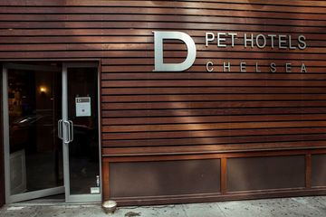 D Pet Hotels 26 Doggy Daycares Flower District Tenderloin Chelsea