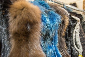 Henry Cowit, Inc. and Madison Avenue Furs 1 Leather Goods and Furs undefined