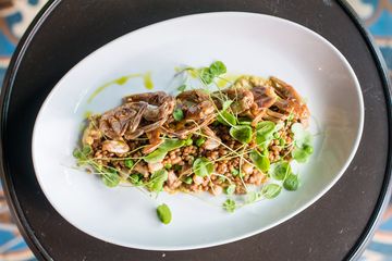Bo's Kitchen and Bar Room 7 Brunch American Tenderloin Flatiron