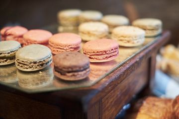 ALT For Living 16 Furniture and Home Furnishings Coffee Shops Fabric and Upholstery Rugs and Carpets Chelsea Flower District Tenderloin