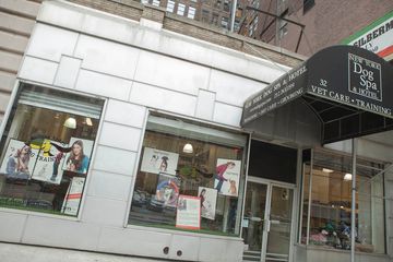 NY Dog Spa and Hotel 4 Doggy Daycares Pet Groomers Flatiron Tenderloin