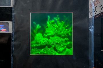 Holographic Studios 10 Videos Art and Photography Galleries Nomad Kips Bay