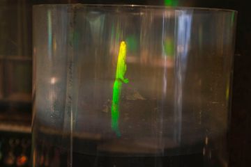 Holographic Studios 14 Videos Art and Photography Galleries Nomad Kips Bay
