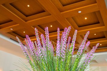 Hotel Giraffe 11 Hotels Rose Hill Nomad Flatiron