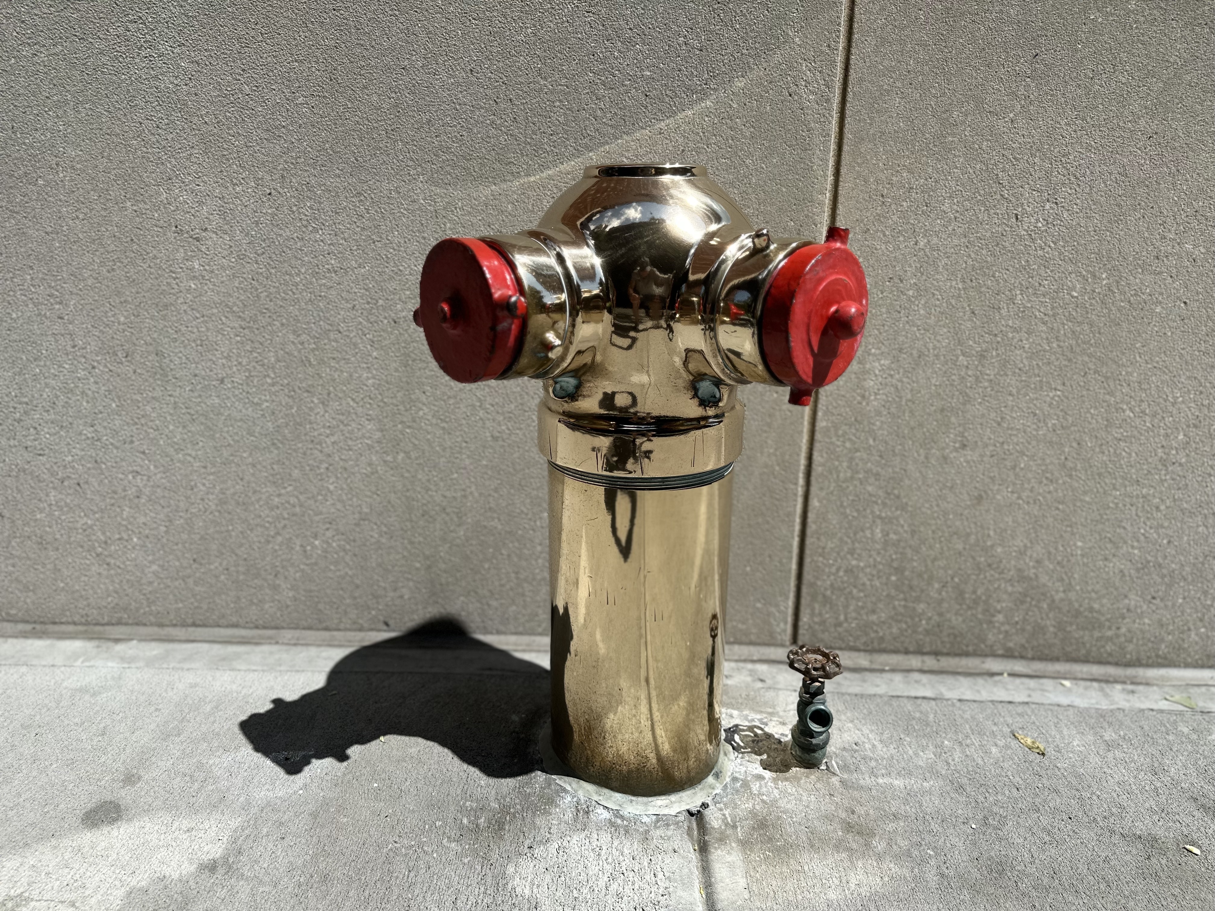Standpipe Fire Hydrant on E90th Street. A sign of wealth?