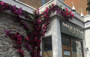 Molyvos Outside Greek Hells Kitchen Midtown West